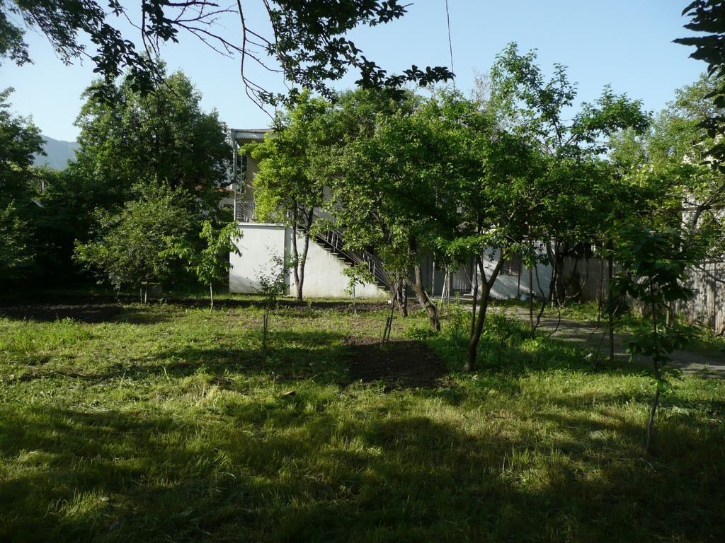 Gvirilas Sakhli Guest House Khashuri Exteriör bild